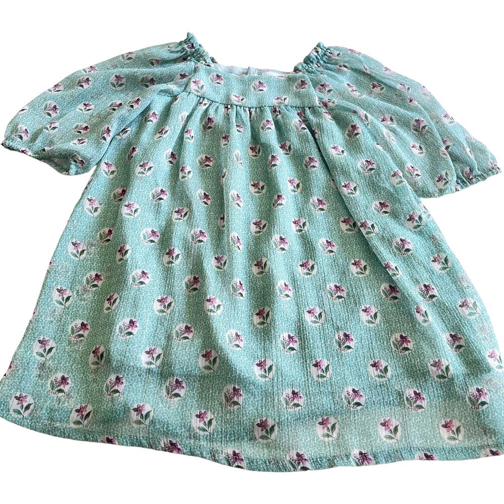Zara girls green floral metallic thread chiffon dress size 4/5